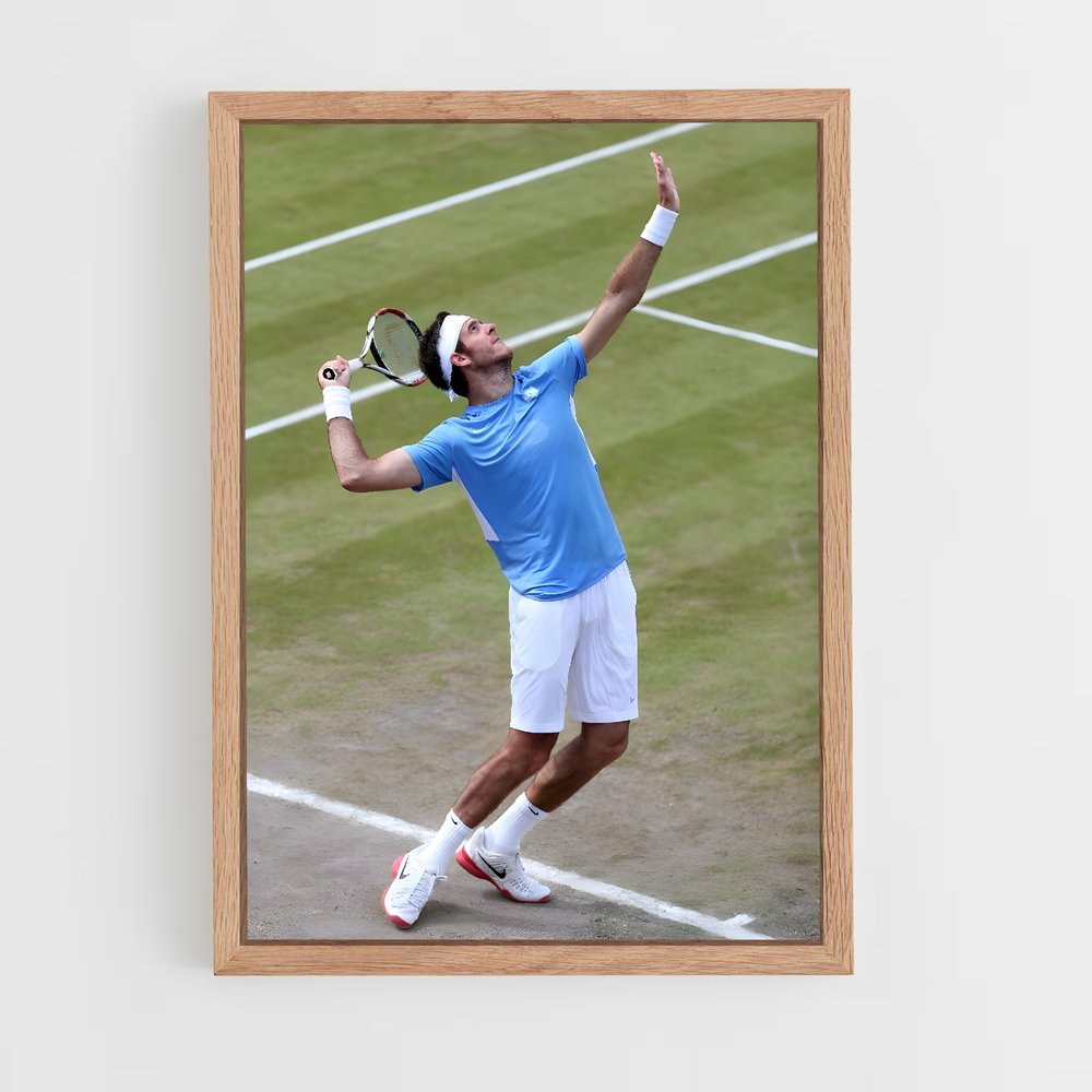 Poster Juan de martin potro – affiche Tennis (vue 4)